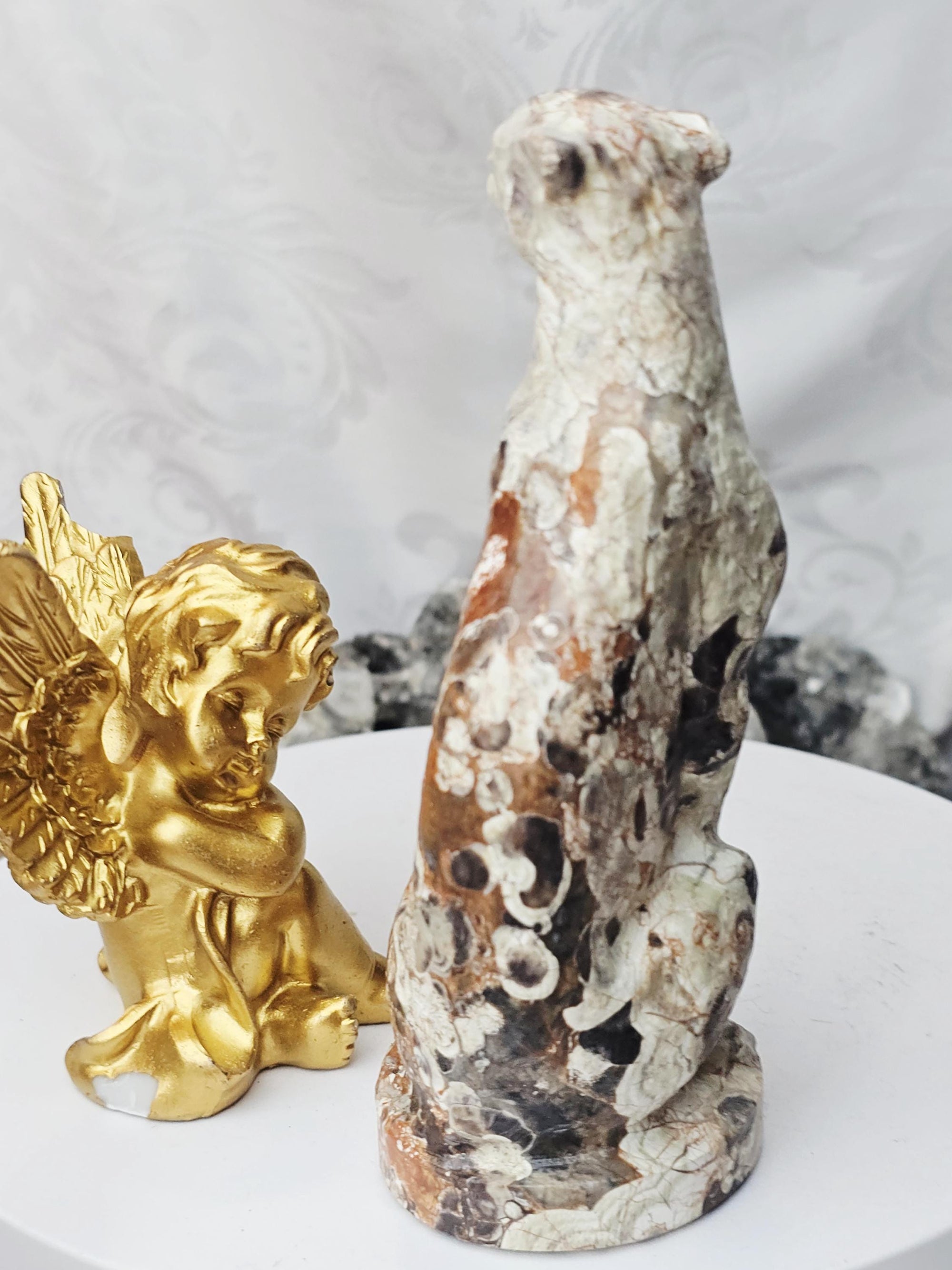 Leopard, Money Agate Leopard, Safari, Kitty,Cat, Metaphysical Crystals, Meditation Gemstones,